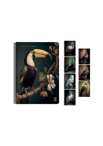Gıpta Natura Spiralli Karton Kapak Defter A4 80 Yp Kareli Çok Renkli