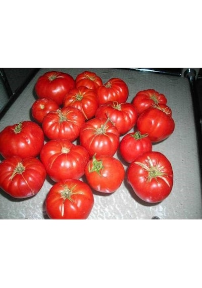 Tohhum Ankara Ayas Domates Tohumu 50+ Tohum