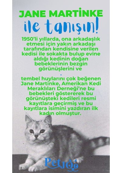 Petjoo 5.Jane Martinke Mavi-Yeşil Qr'lı Kedi Künyesi
