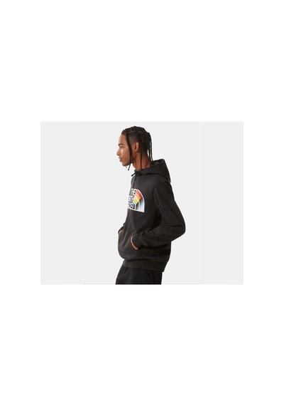 The North Face M Pullover Hoodie Erkek Outdoor Sweatshirts NF0A7QCKJK31 Siyah