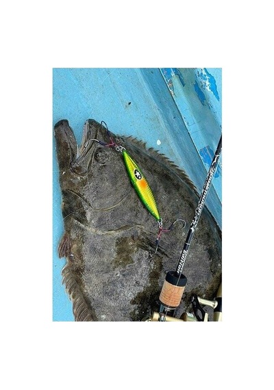 Xesta Slow Emotion Flap Qr 150g Metal Jig Yem