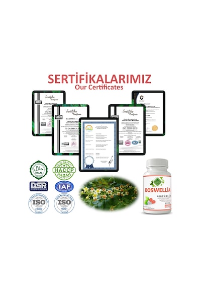 Gökçek Şifa Akgünlük (Boswellia Capsule) 60 Kapsül