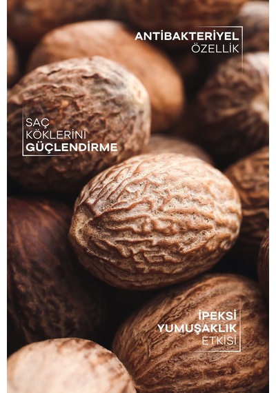 Tto Thermal Shea Yağı – Yoğun Nemlendirici ve Cilt Onarıcı Doğal Yağ 100 Ml