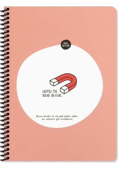 Hisli Şeyler A4 80 Yaprak Çizgili Sipiralli Stickerli Defter Hepsi De Beni Bulur Karışık Renkli