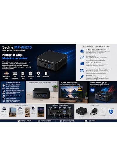 Seclife MP-AN210 R3-3200U 8 GB 256 GB SSD W11P Mini Pc