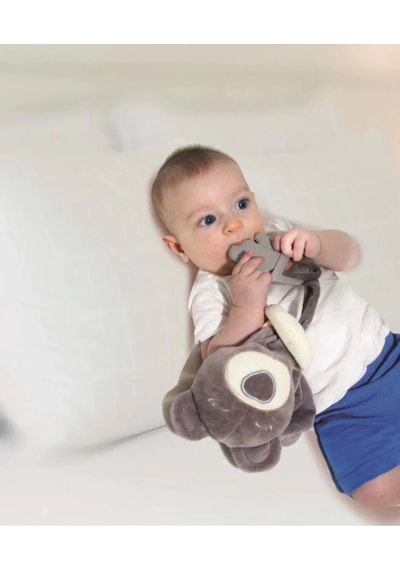 Babyjem Diş Kaşıyıcılı Uykucu Ayıcık 680 Gri