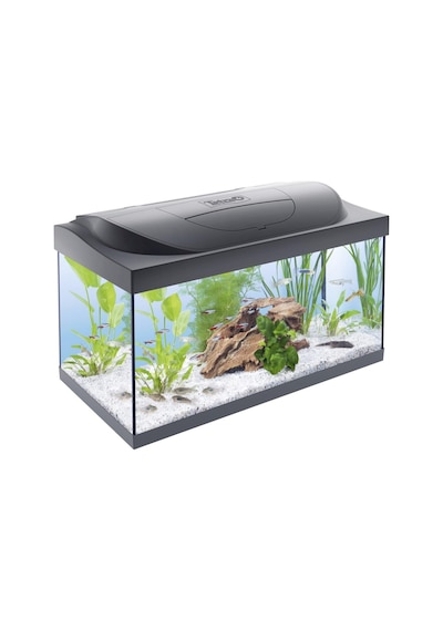 Tetra Starter Line 54 L Akvaryum Komple Set Gündüz Ve Gece Lambası Led Aydınlatma, İç Filtre, Isıtıcı, Balık Yemi Ve Su Hazırlama Cihazı Dahil