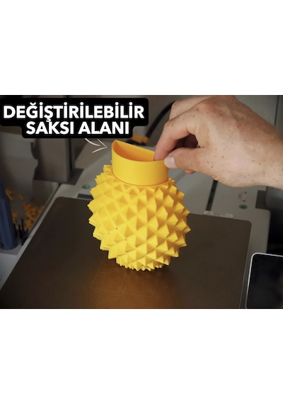 Ananas Şekilli Kedi Kaşıma Aparatı Kedi Çimi Eklenebilir Duvar