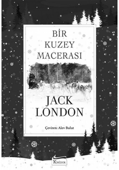 Bir Kuzey Macerası Bez Ciltli - Kyut-761921