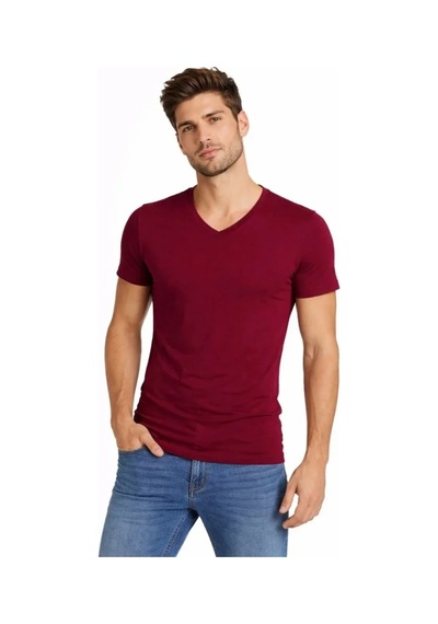 Butik İstanbul Erkek T-shirt V Yaka Slim Fit Dar Kesim Likralı Tişört Günlük Basic Body - Bordo