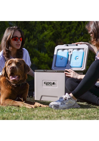 Igloo Coremax 22 Buzluk  - 22 Litre  - Beyaz