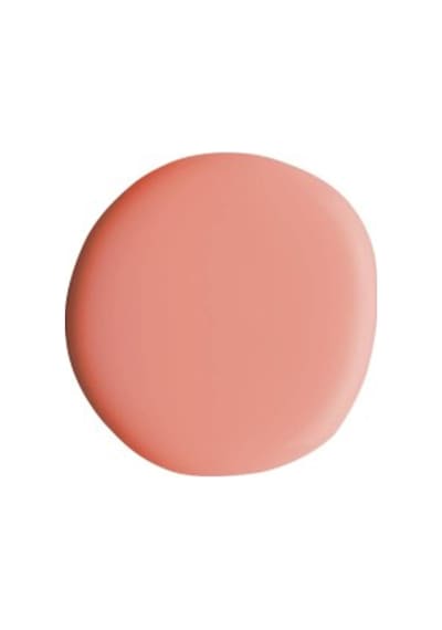 Alix Avien Oje 48 Yüksek Pigmentli Uzun Süreli Kalıcılık Hızlı Kuruma Nail Lacquer 48