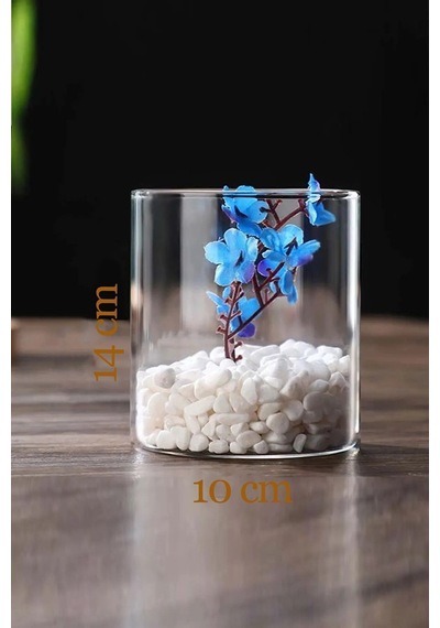 Silindir Masa Üstü Cam Vazo, 10x14 Cm Silindir Saksı Mumluk Beyaz