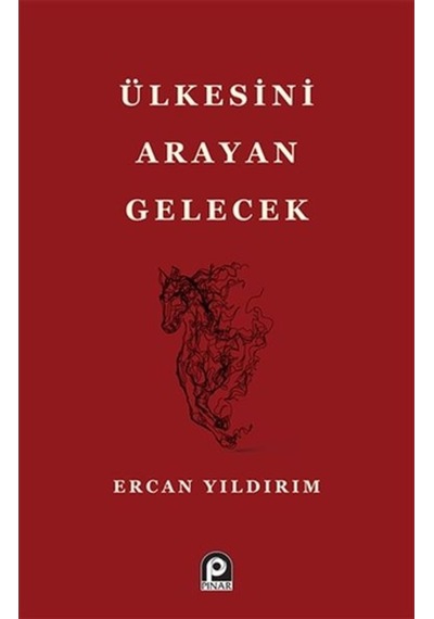 Ülkesini Arayan Gelecek - Ercan Yıldırım - Pınar Yayıncılık