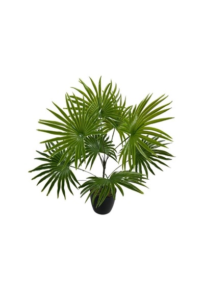 Nettenevime Yapay Çiçek Yelpaze Palmiye 8 Dal 50 40cm Salon Çiçeği Plastik Siyah Saksılı Yapay Bitki Diğer
