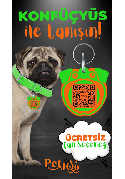 Petjoo 9.Konfüçyüs Turuncu-Yeşil Qr'lı Köpek Künyesi