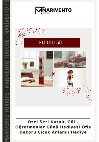 Özel Seri Kutulu Gül - Öğretmenler Günü Hediyesi Ofis Dekoru Çiçek Anlamlı Hediye