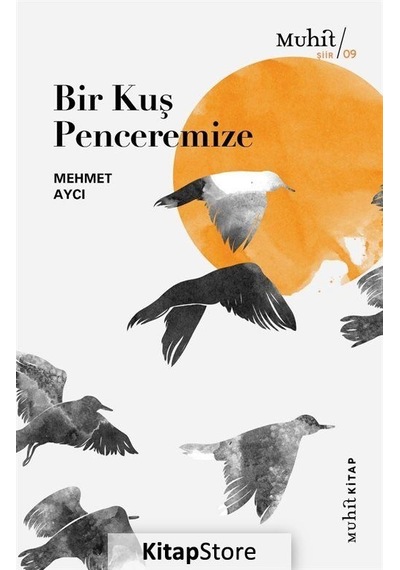 Bir Kuş Penceremize / Mehmet Aycı