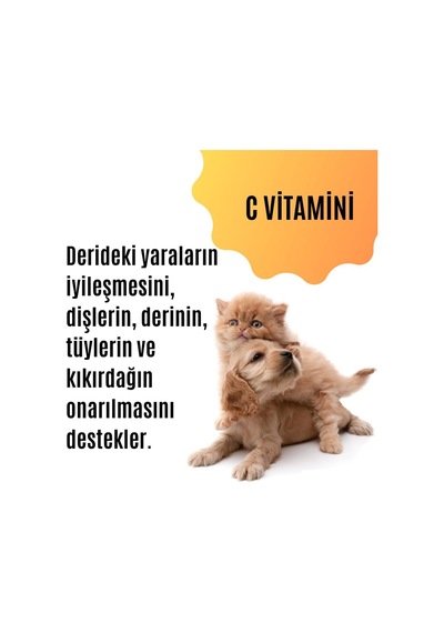 Tüy Dökülmesini Engelleyen Kedi Ve Köpekler İçin Tüy & Deri Güçlendirici Özel Destek Ürünü