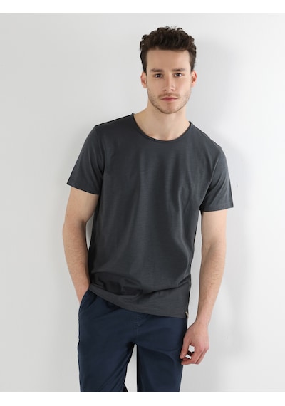 Colin's Colins Regular Fit Bisiklet Yaka Basic Antrasit Erkek Kısa Kol Tişört Cl1058580 Antrasit