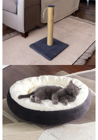 Premium Kedi Başlangıç Seti - Lüks Kapalı Kedi Tuvaleti, Taşıma Sepeti, Yatak, Tırmalama, 3 Kat