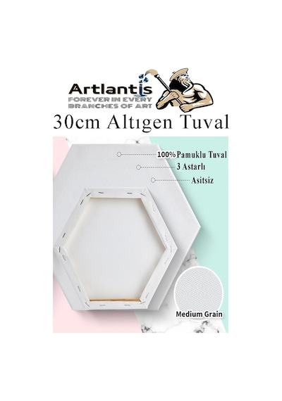 Altıgen Tuval 30 Cm 2 Adet Arkadan Zımbalı Astarlı Resim Tuvali Akrilik Boya Yağlı Boya Altıgen Şekil Tuval Ressam Sanat
