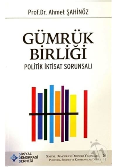 Gümrük Birliği - Politik İktisadi Sorunsalı - Ahmet Şahinöz - SDD