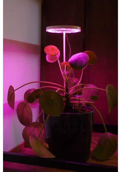 Bitki Led Lamba 5v Usb Fullspectrum Bitki Yetiştirme - Bitki Geliştirme Lambası Halka 8w