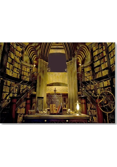 Cakasepetim Harry Potter Kütüphane Gizli Çömlekçi Cadı Ahşap Mdf Tablo