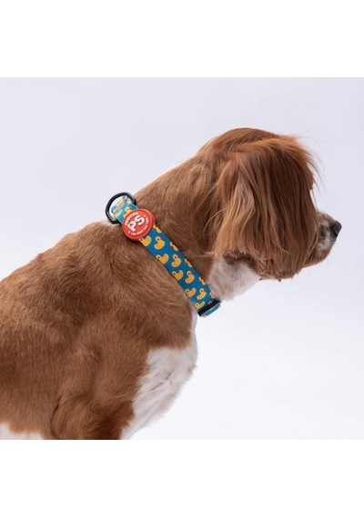 Pawstar Ducks Boyun Tasması M Boyun Çevresi: 32 Cm X 48 Cm Çok Renkli