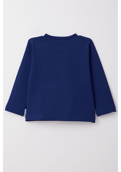 Breeze Erkek Çocuk Uzun Kollu Tişört Basic 1-4 Yaş, Saks Mavisi Saks