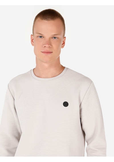 Colin's Colins Normal Kesim Bisiklet Yaka Gri Erkek Uzun Kol Tişört Cl1067820 Açık Gri