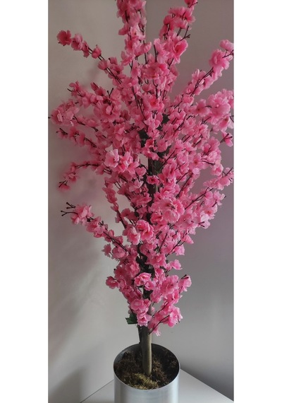 Rüzgar Çiçekcilik 145 Cm Pembe Metal Saksıda Bahardali Pembe