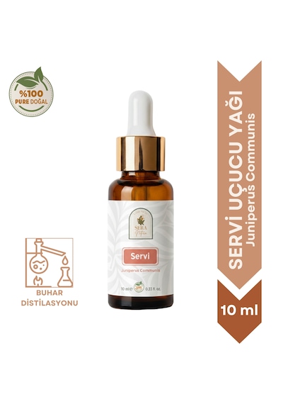 %100 Saf Servi Uçucu Yağı 10 Ml - Doğal Aromaterapi Ve Masaj Yağı Cypress Oil 10 ML