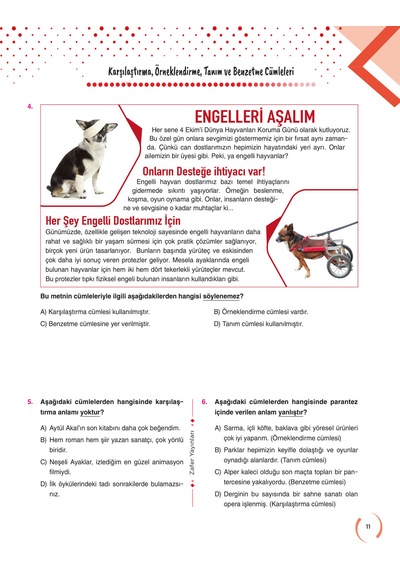 5. Sınıf Türkçe Soru Bankası Fasikül Seti