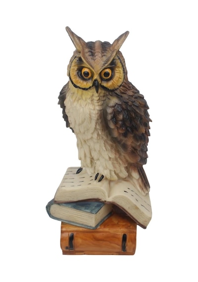 Feng Shui Kitap Üzerinde Bilge Baykuş Biblo 23 Cm Dekoratif Şans Getiren Lüks Ev Ofis Hediyesi Obje