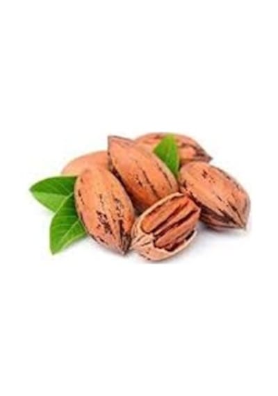 Pikan Cevizi 1 KG