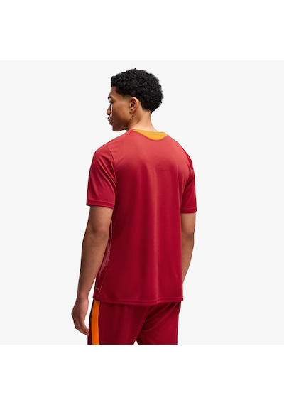 Puma Galatasaray 26/27 Erkek Kırmızı Antrenman Forma 786805