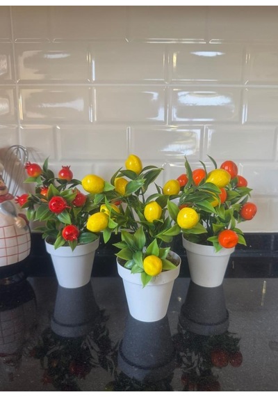 5li Set Yapay Çiçek Mini Saksıda Meyveler 20cm