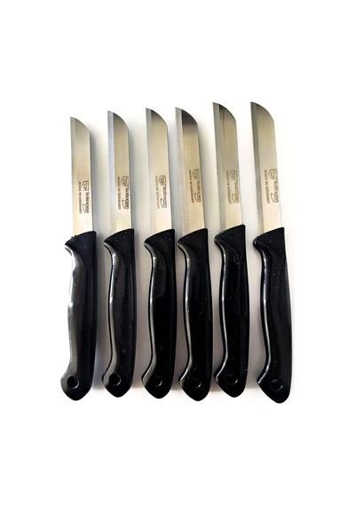 Solingen 6'li Tırtıklı Meyve Bıçağı Seti Paslanmaz Çelik 18 Cm