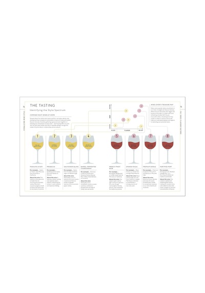 Wine A Tasting Course: From Grape To Glass