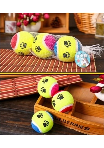 At Getir Köpek Eğitim Topu