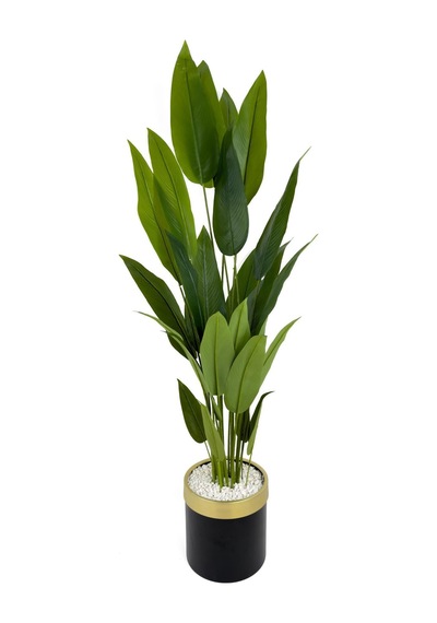 Starliçe 220cm Metal Siyah Gold Saksıda H