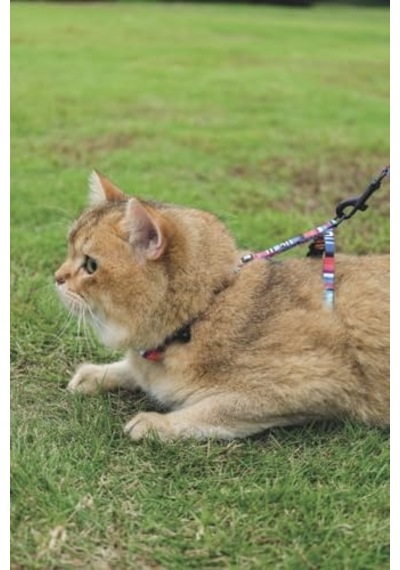 M-pets Urban Style Jazz Strıpes Kedi Göğüs Tasması Set