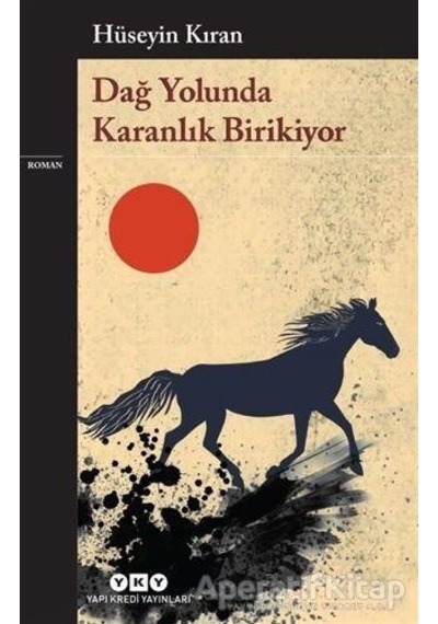 Dağ Yolunda Karanlık Birikiyor - Hüseyin Kıran - Yapı Kredi Yayınları