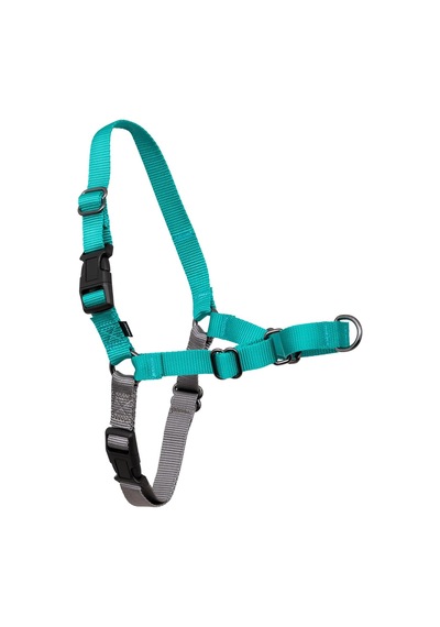 Easy Walk No-pull Köpek Göğüs Tasması, Çekmeyi Önlemeye Yardımcı, Kontrolü Ele Alın Ve Tasmayla Daha İyi Yürümeyi Öğretin, Large, Sarımsı Turkuaz/gri