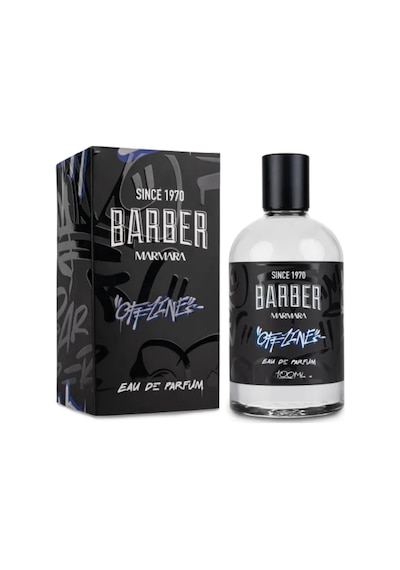 Offline 100 Ml Parfüm