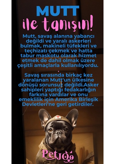 Petjoo 10.Mutt Pembe-Mavi Qr'lı Köpek Künyesi