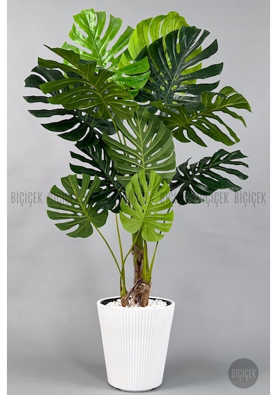 Biçiçek Yapay Monstera Ağacı Deve Tabani 160 Cm Beyaz Luna Saksıda