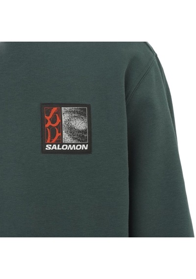 Salomon Freestyle Hoodıe 22889 Yeşil